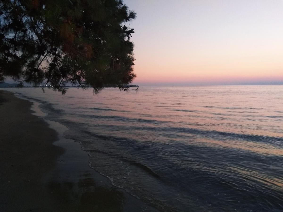 Chrisella Villa Skala Rachoni  Exteriör bild